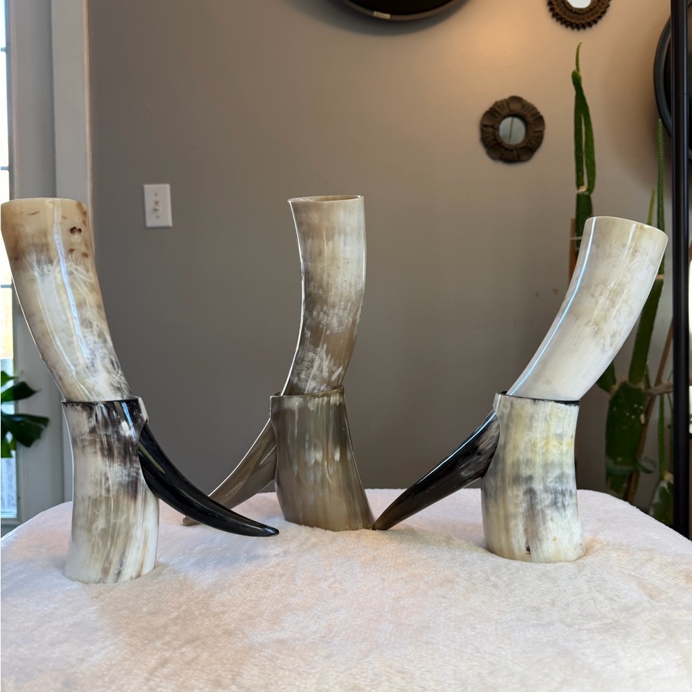 Horn Cup (3) With Holder Set in Natural Tones